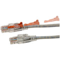 Lockable Cat6 Ethernet Patch Cable, Light Gray C646524