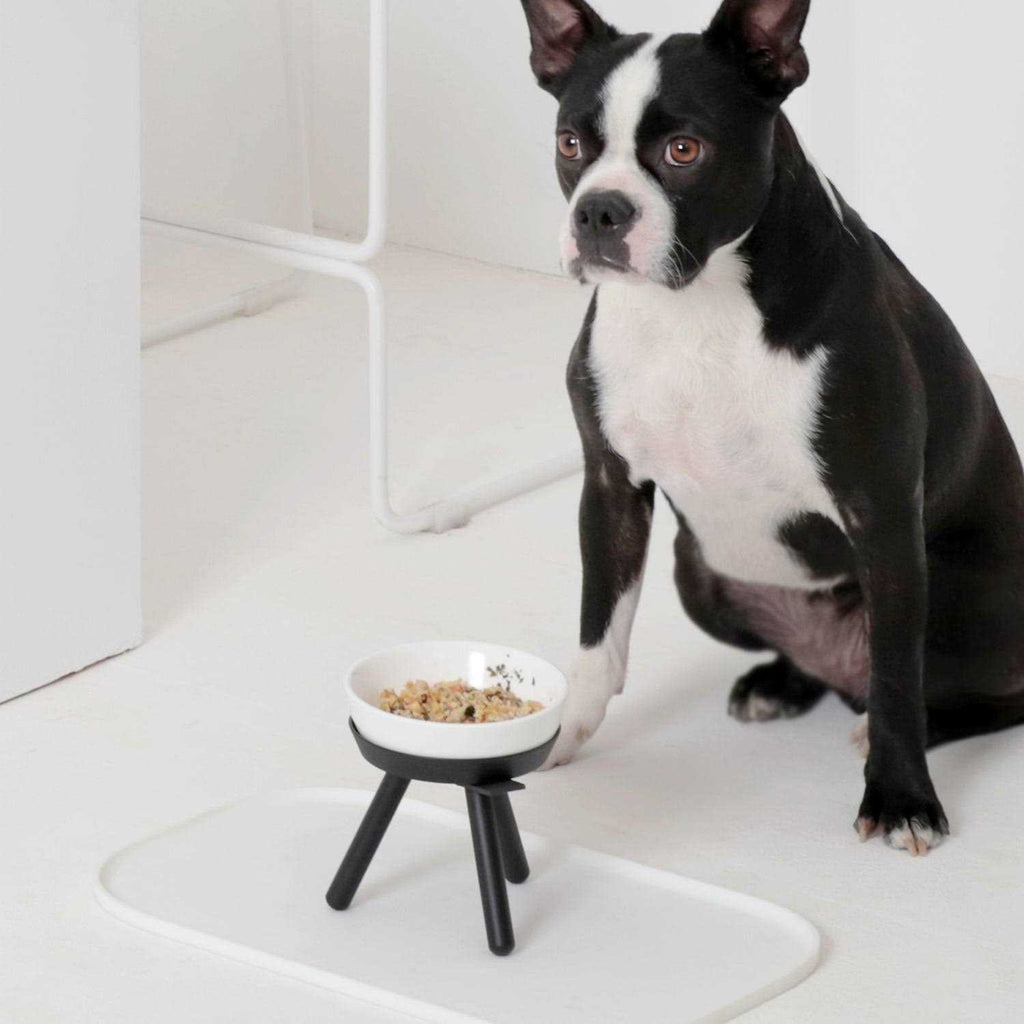 Pet Supplies L831