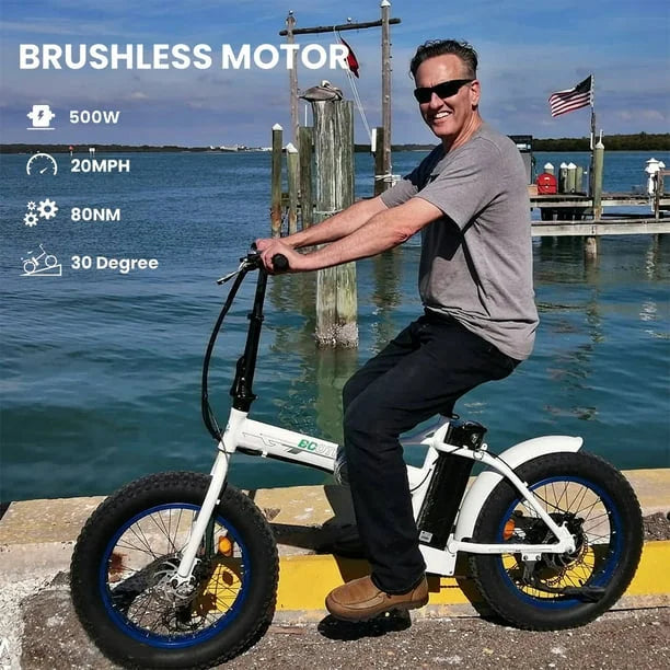 Fat Tire Electric Bike 20" Folding Bicycle 500W 36V Pedal Assist Electric Bicycle T5141