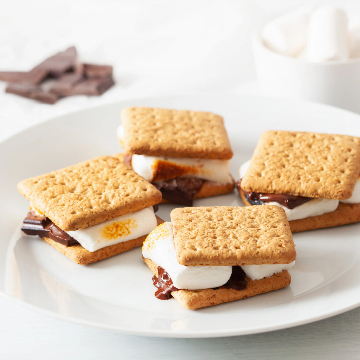 Electric Stainless Steel S'mores Maker with 4 Compartment Trays and 2 Roasting Forks S391