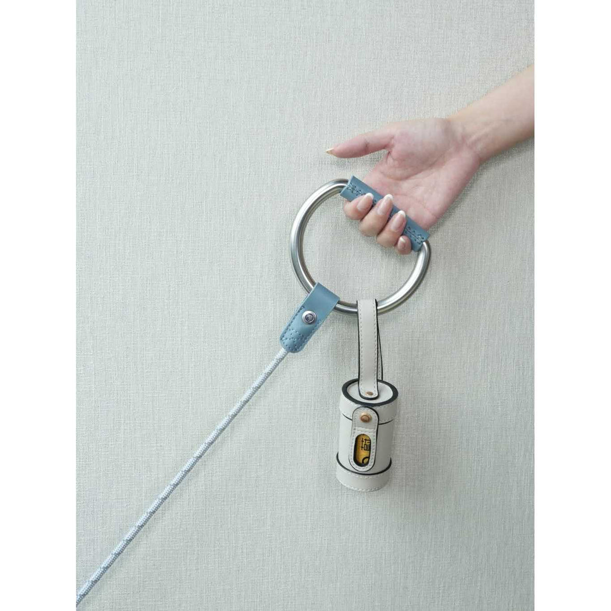 Pet Harness and Leash Set L77593
