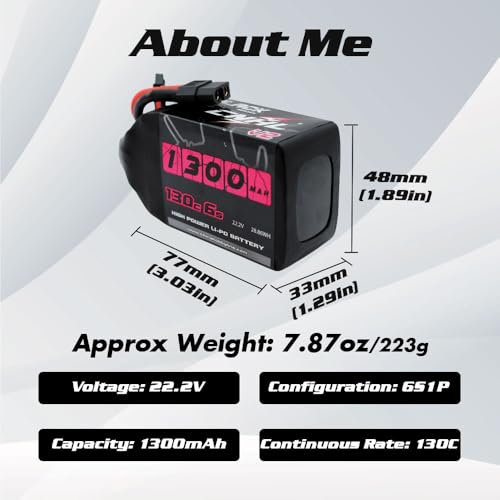 6S 1100mAh 100C 22.2V Lipo Battery with XT60 Plug (2 PCS) B638588