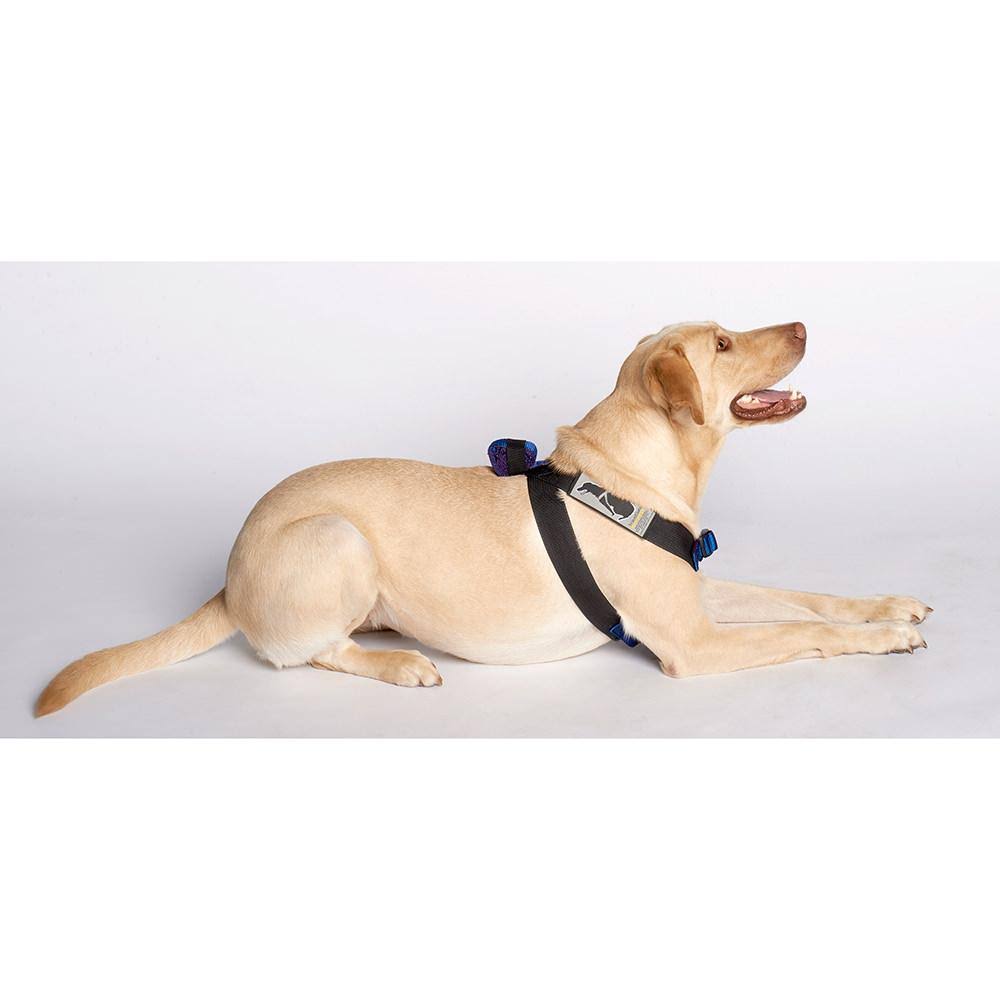 Blue Travel Safe Harness L3474