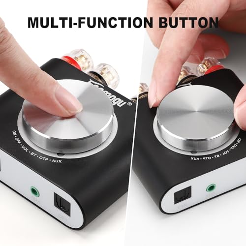 160W Mini Bluetooth 5.0 Power Amplifier M821017