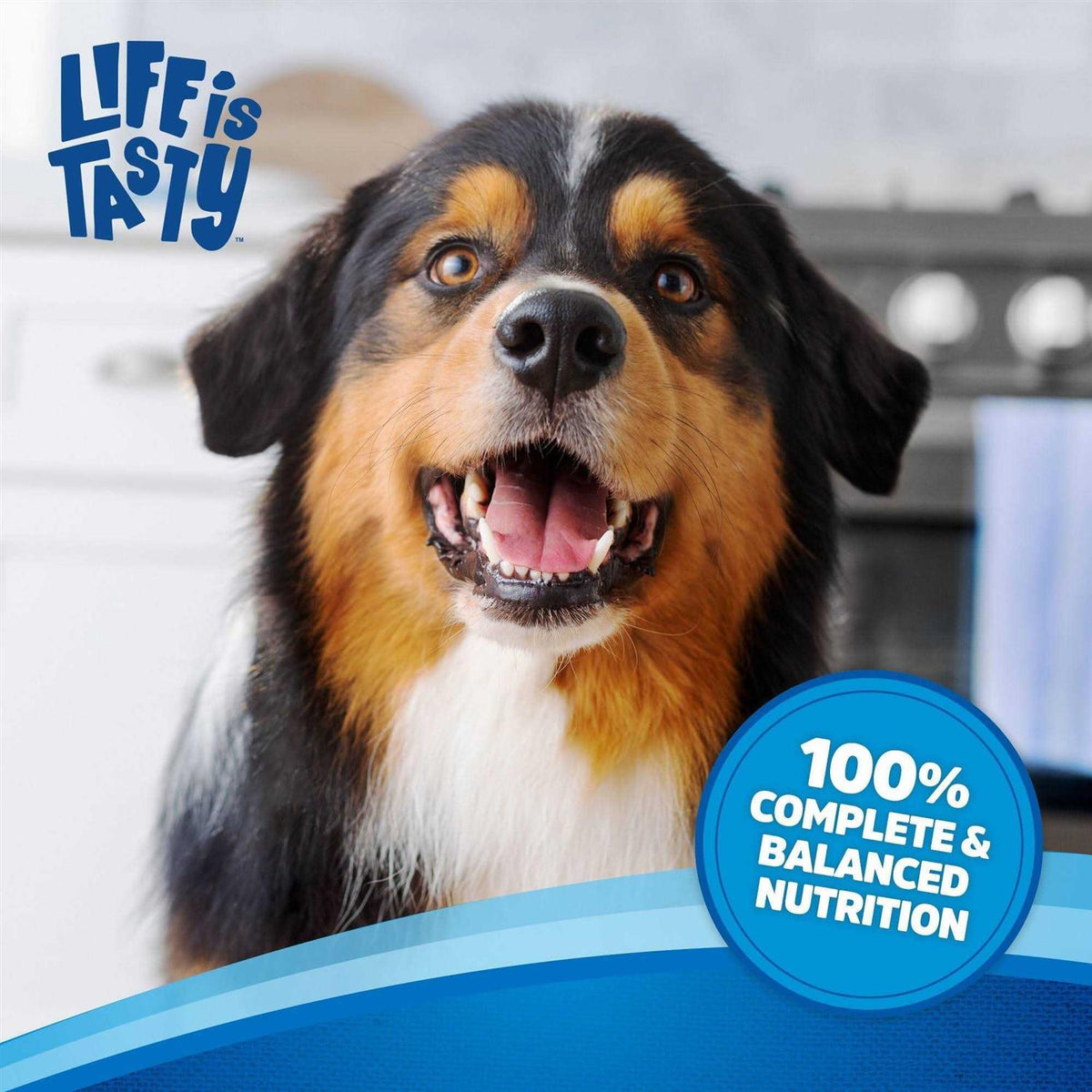 Beef Dog Food B797579