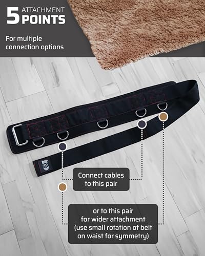 Belt for Cable Machine with 5 Attachment Points, 2 Straps (40” & 27”) and 3 Metal Snap Hooks P812