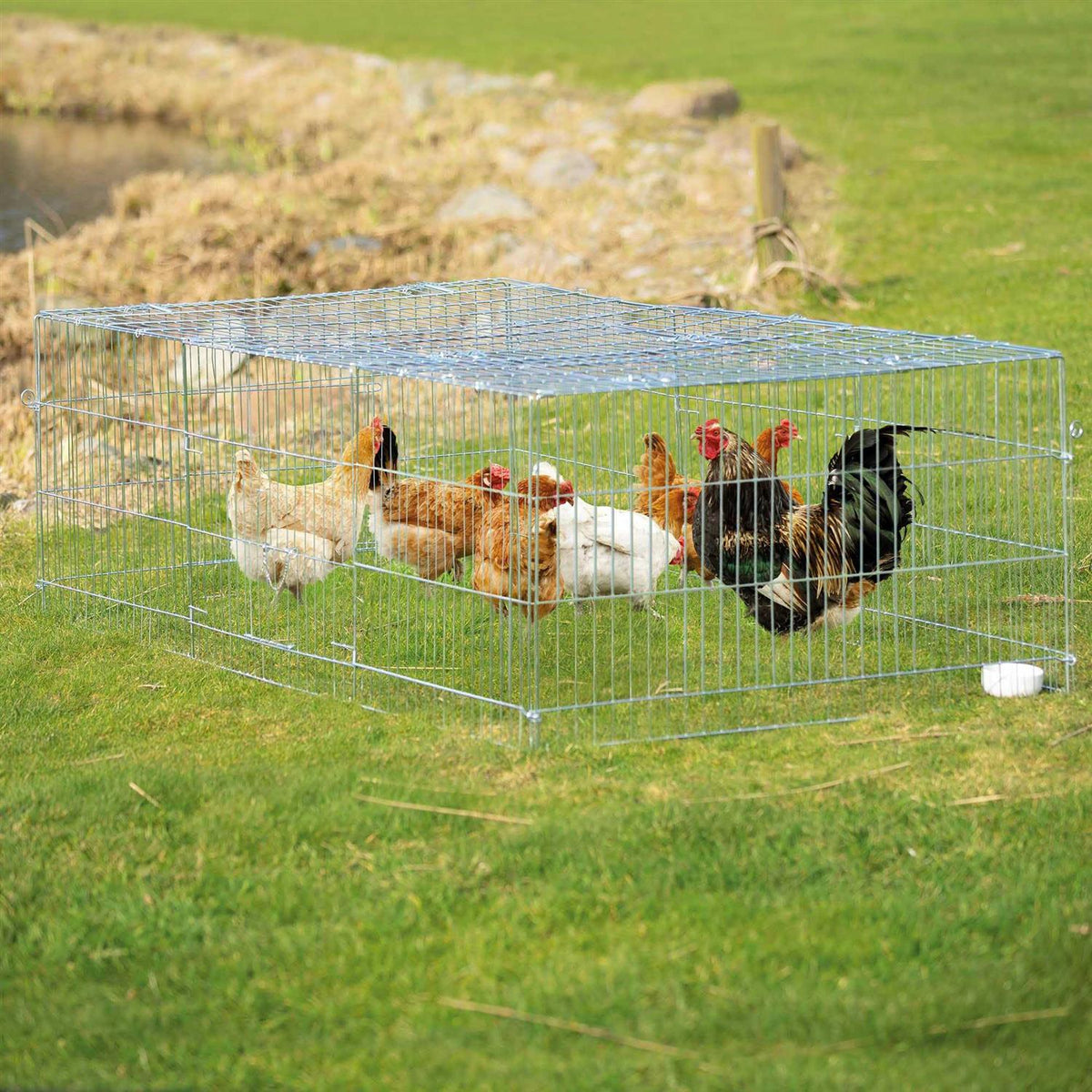 Enclosed Outdoor Small Animal Run R786405