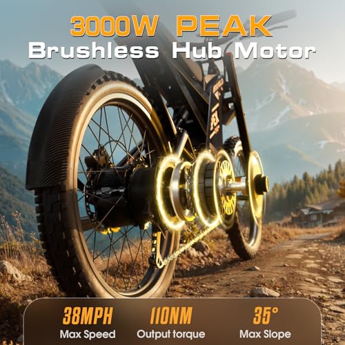 Electric Dirt Bike with 3000W Brushless Motor and 48V 30AH Battery K6396