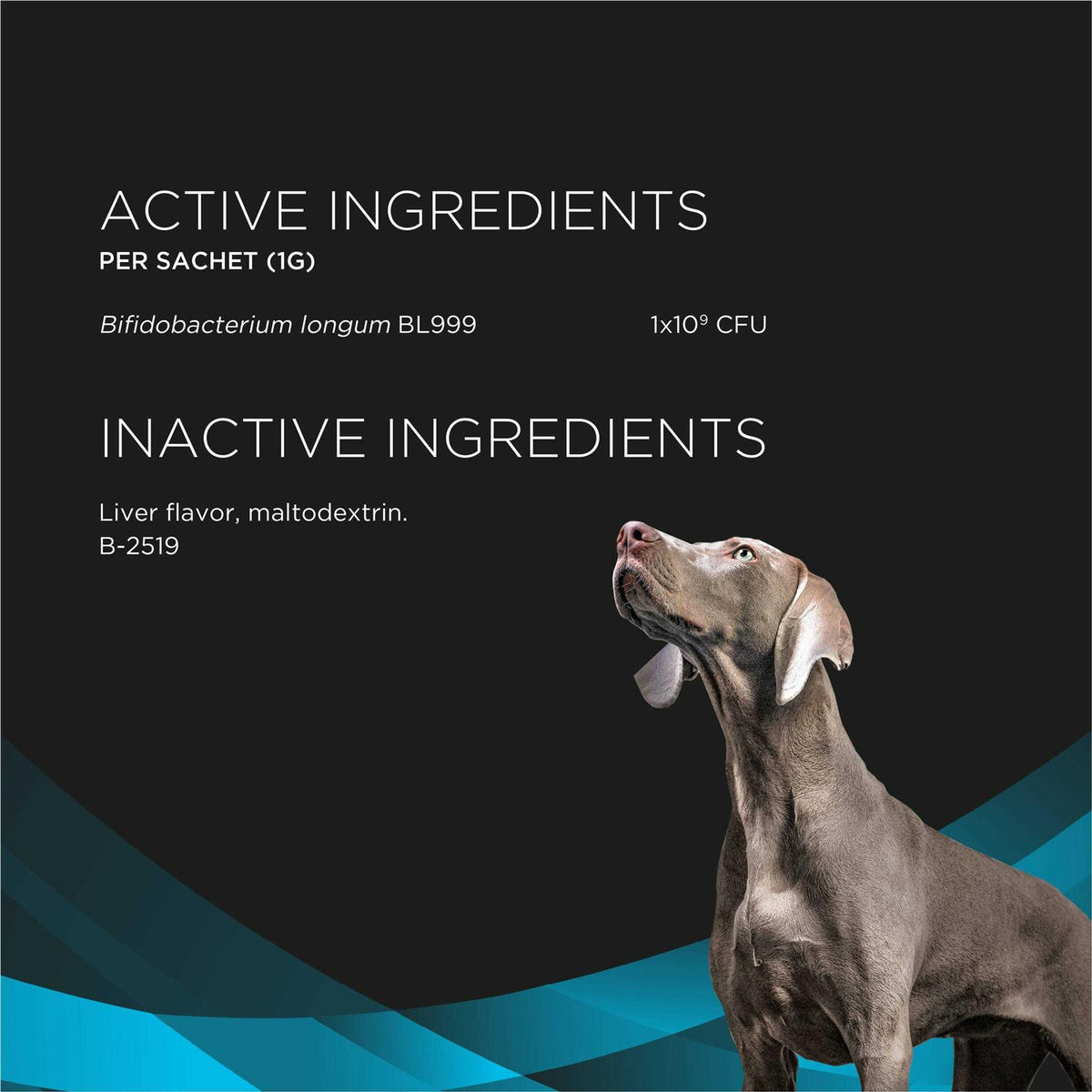 Calming Care Pet Supplements X63762