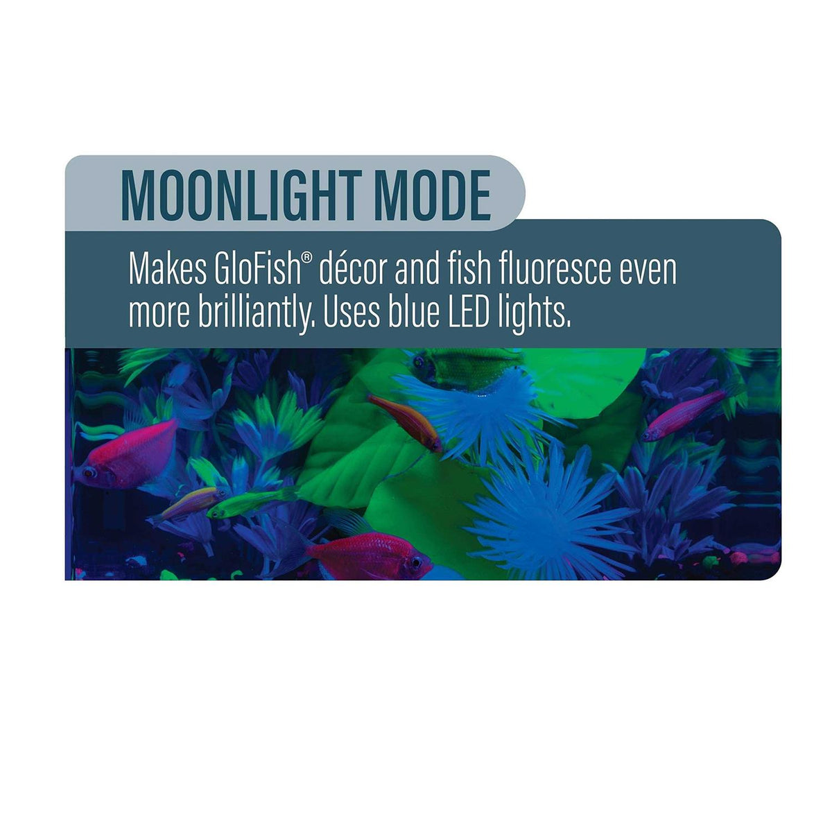 6 inch Blue LED Aquarium Light T541124