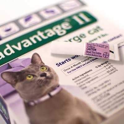 Advantage II Flea Treatment Cats S55845