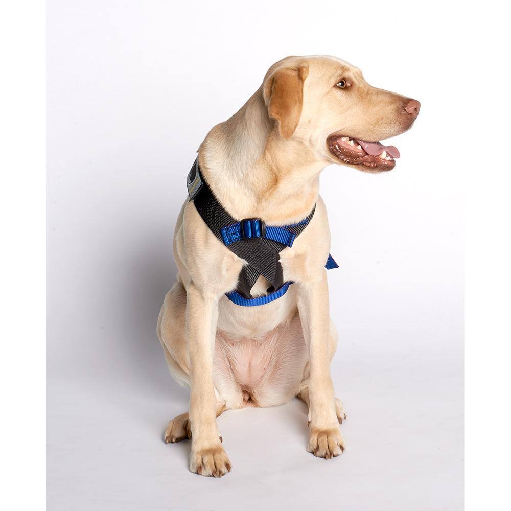 Blue Travel Safe Harness L3474