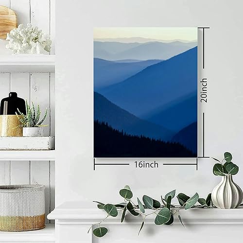16"x20" Framed Canvas Wall Art C633420