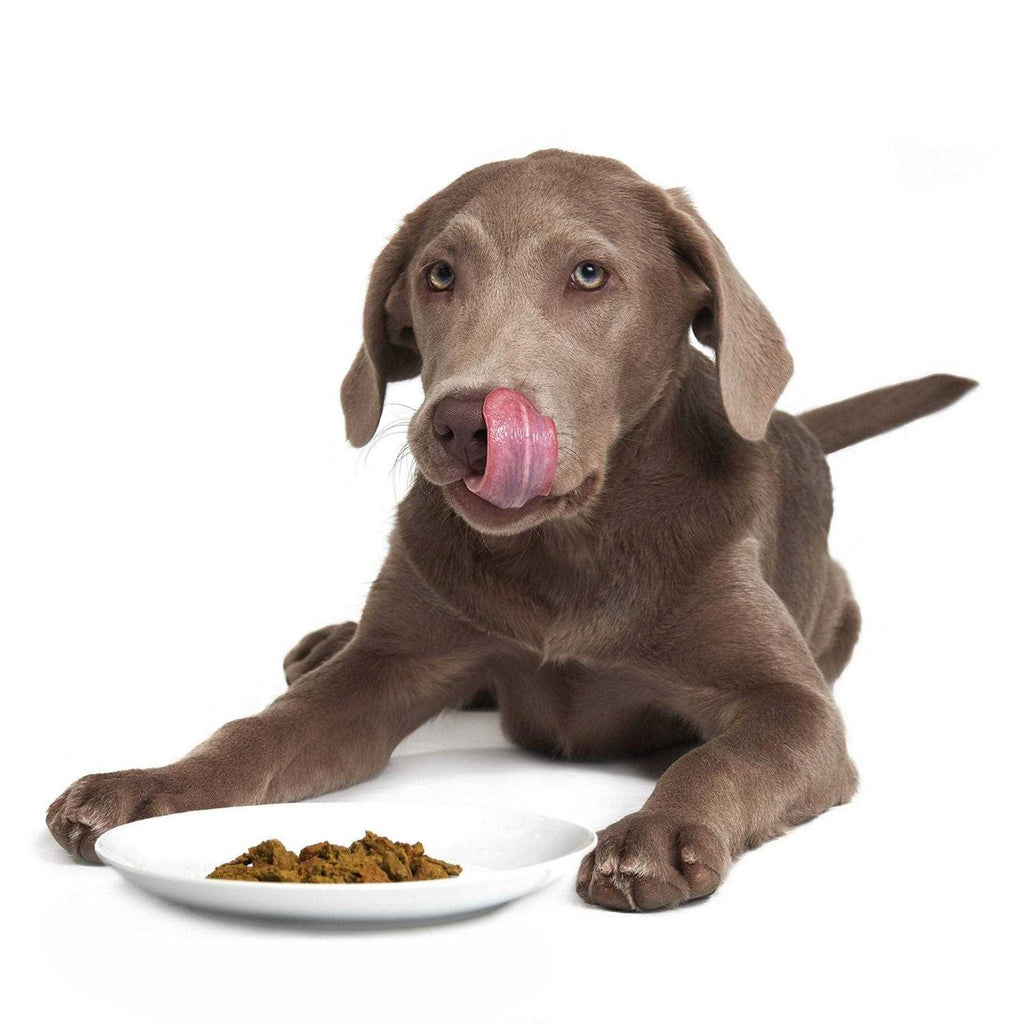 Dehydrated Pet Food W58272