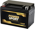 12v 9ah Replacement Motorcycle Battery T854651
