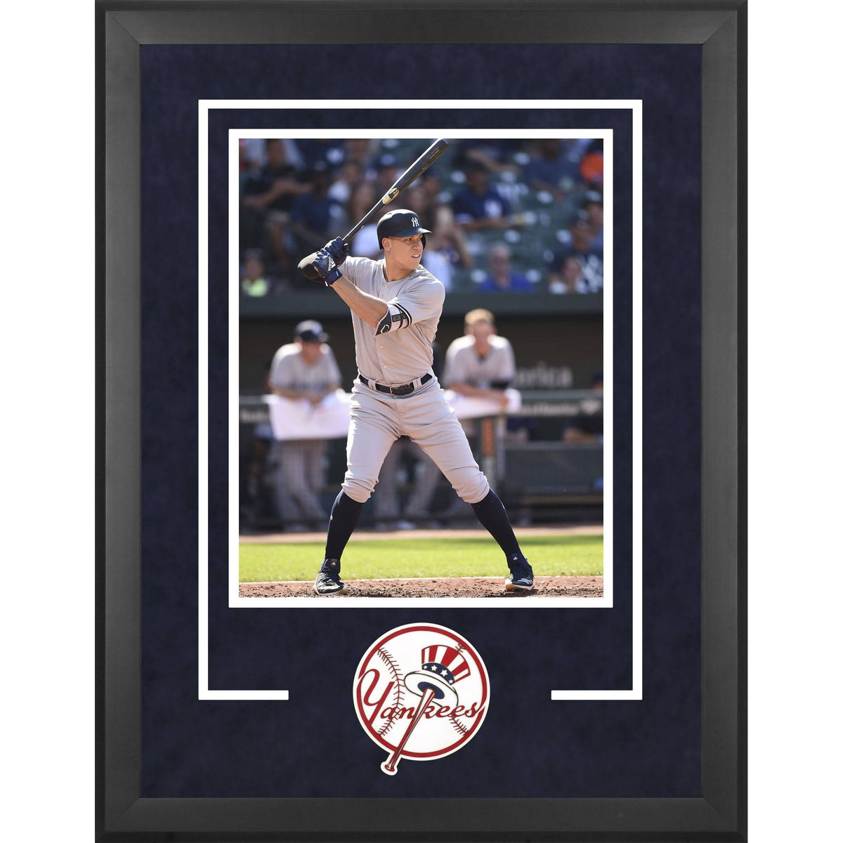 Deluxe Vertical Photograph Frame B84747