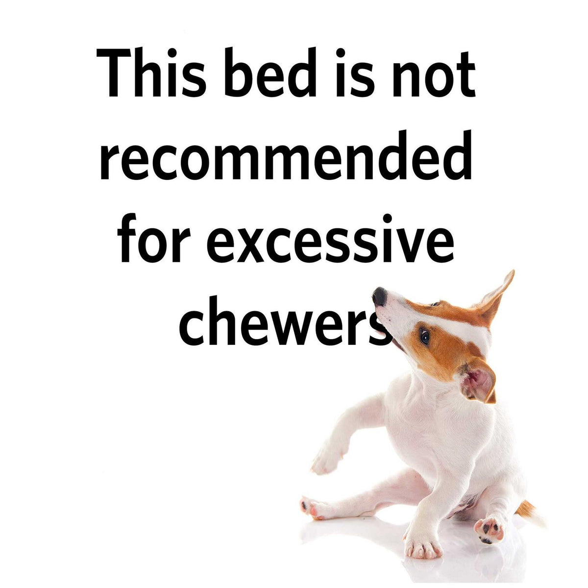 Reversible Paw-Print Pet Bed Z856