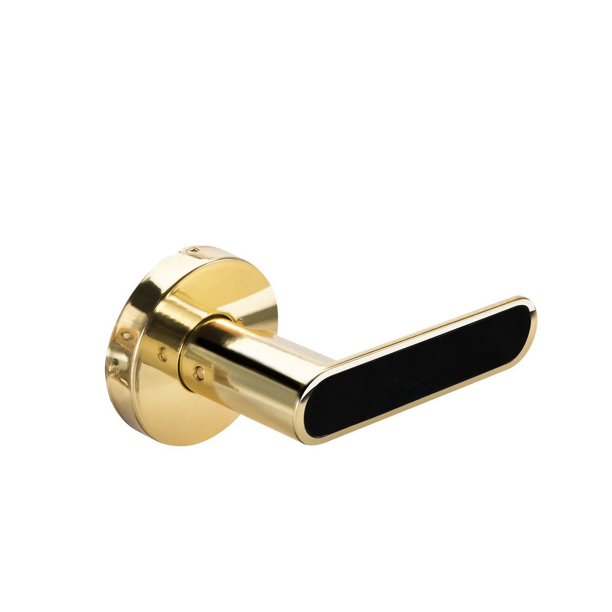 Black Inlay Privacy Lock T92026