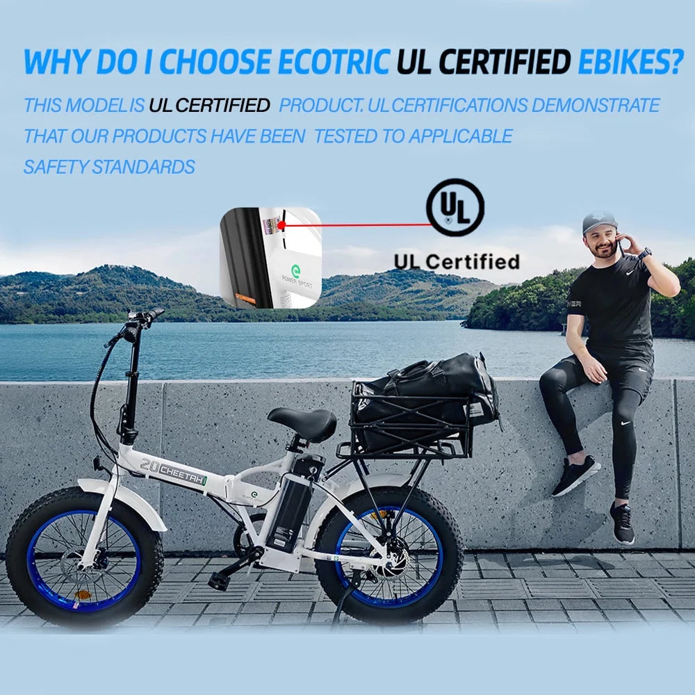 Fat Tire Electric Bike 20" Folding Bicycle 500W 36V Pedal Assist Electric Bicycle T5141