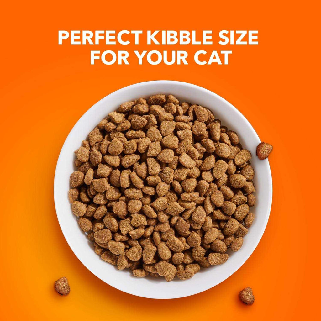 Adult Cat Food N226