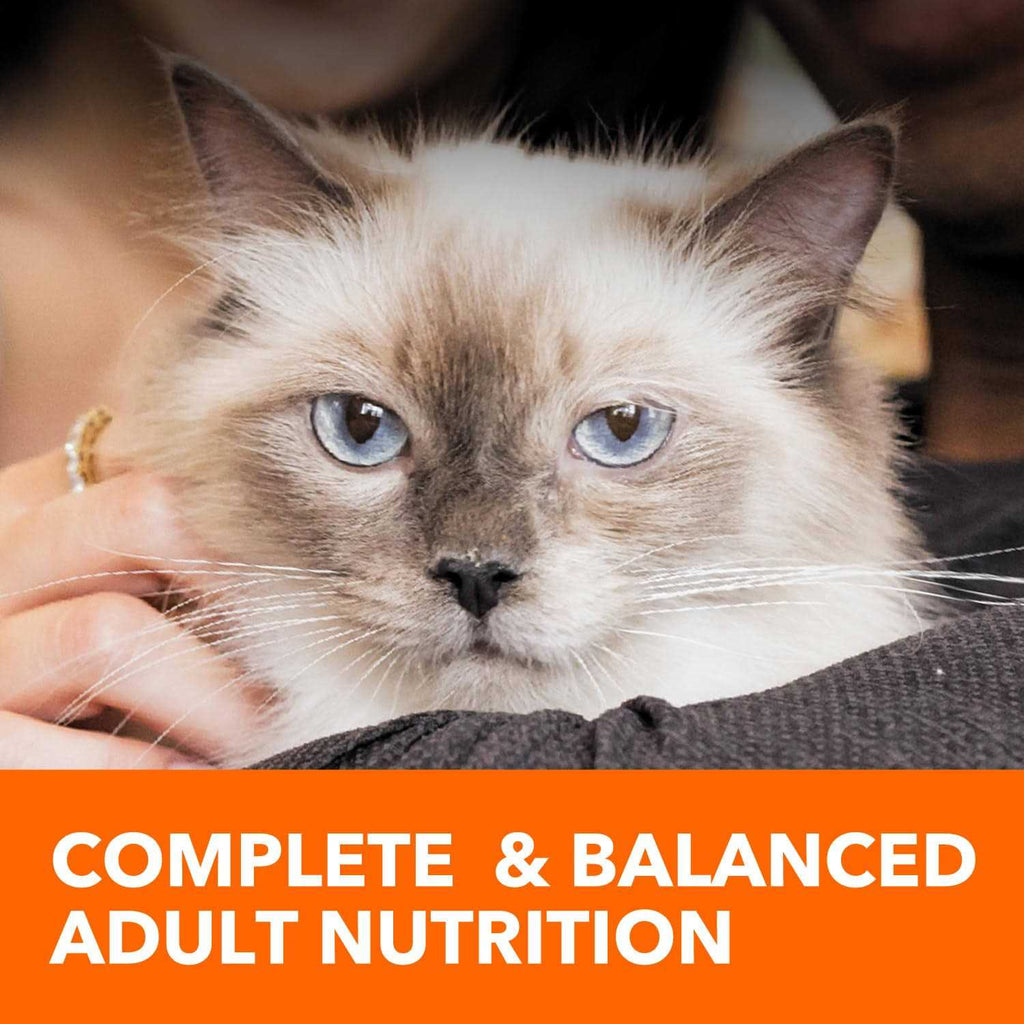 Adult Cat Food N226