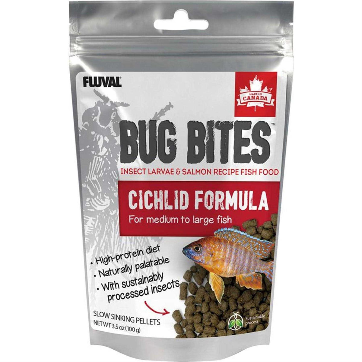 Bug Bites Cichlid I372