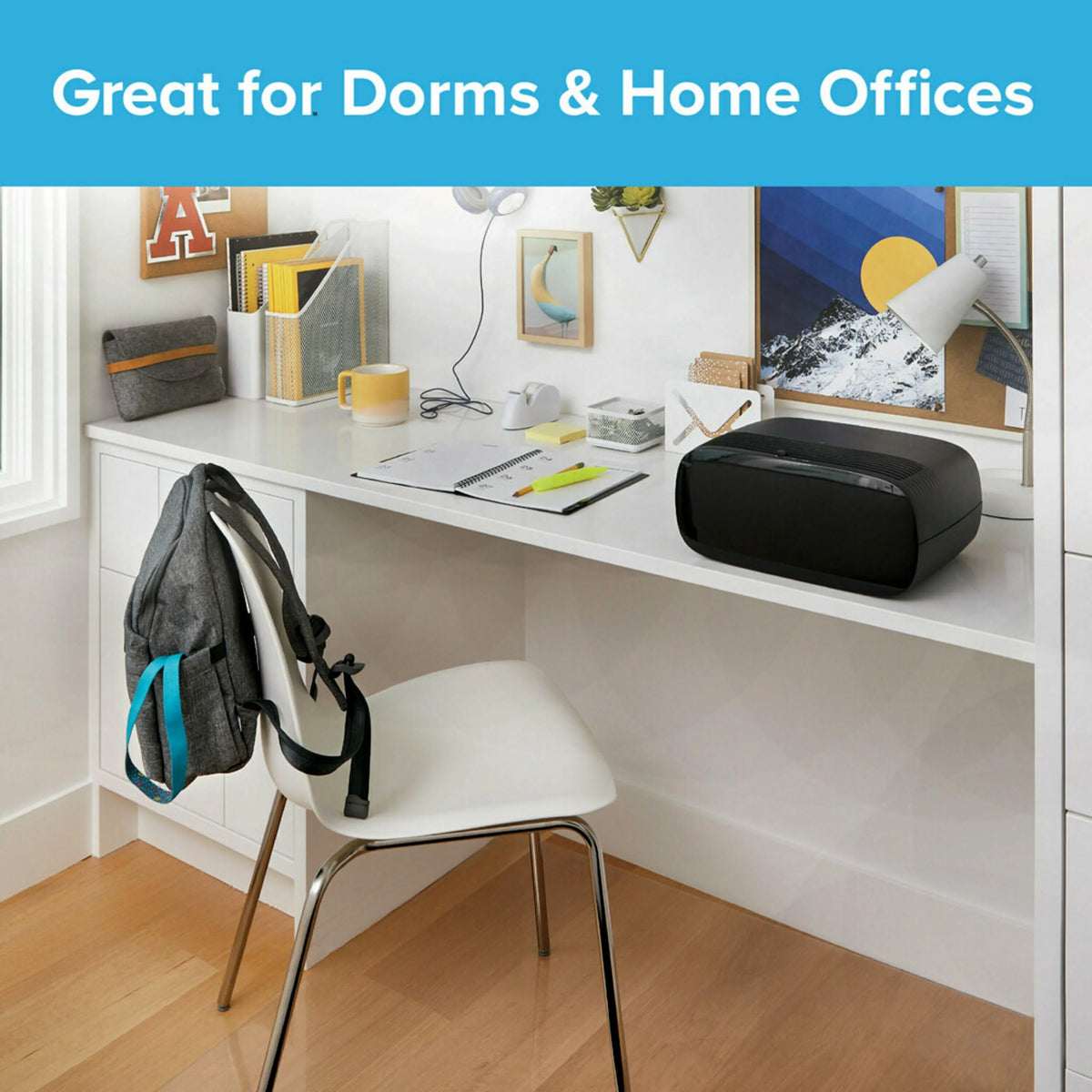 Air Purifier Small Room 80 sq. ft. D75988