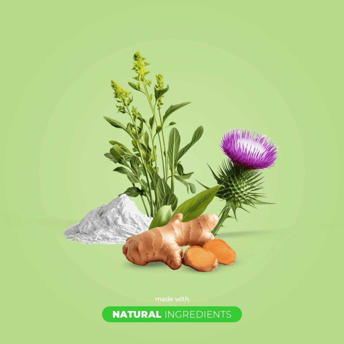 Milk Thistle for Dogs 90 Soft Chews Z8855