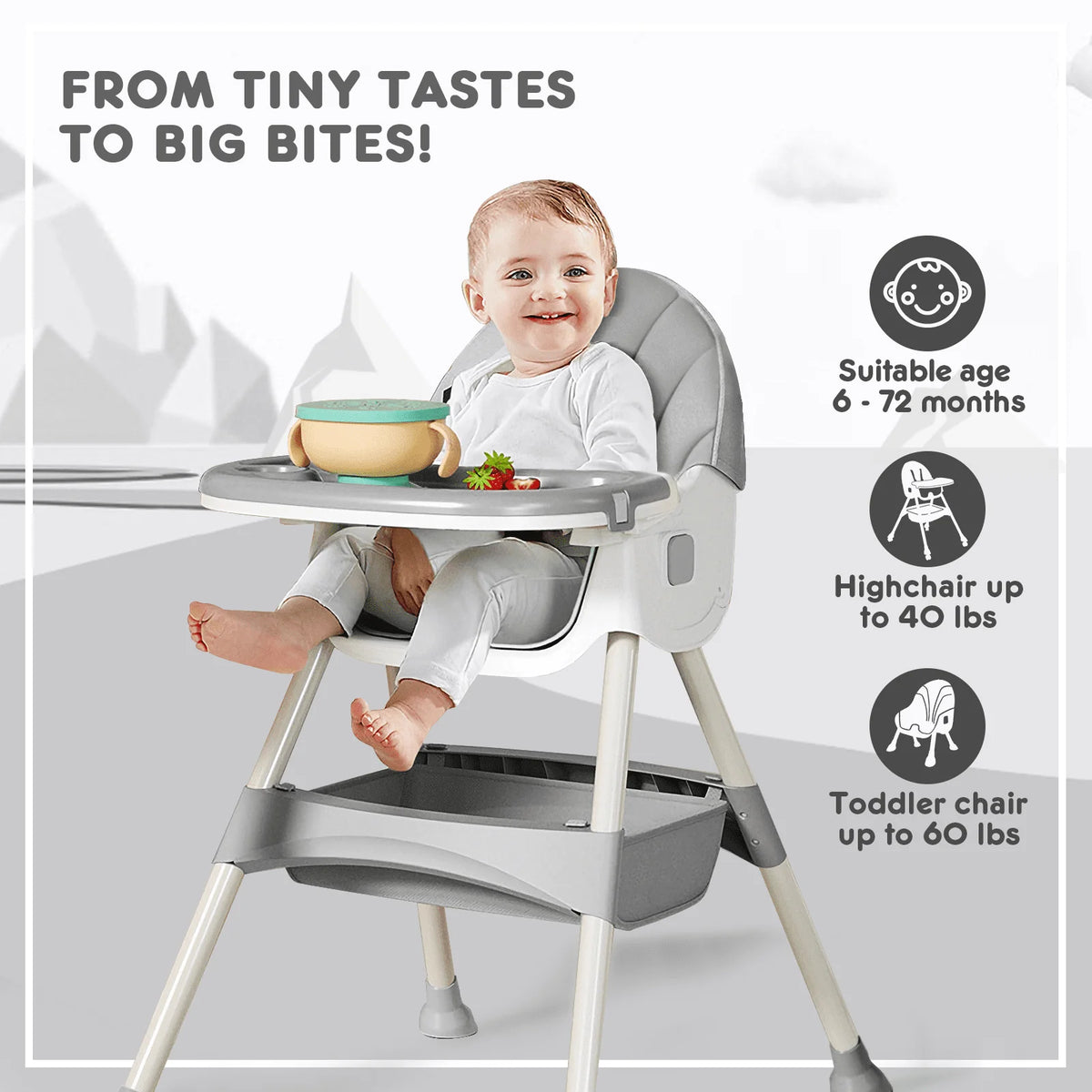 4-in-1 Convertible High Chair T9476
