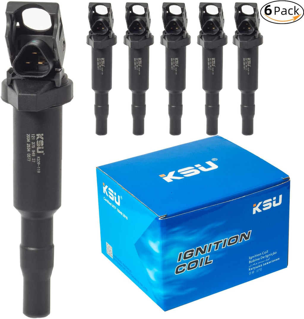 Ignition Coil Pack (6Pack) B810097