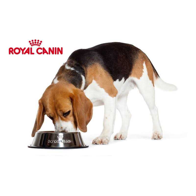 Adult Loaf In Sauce Dog Food O11357