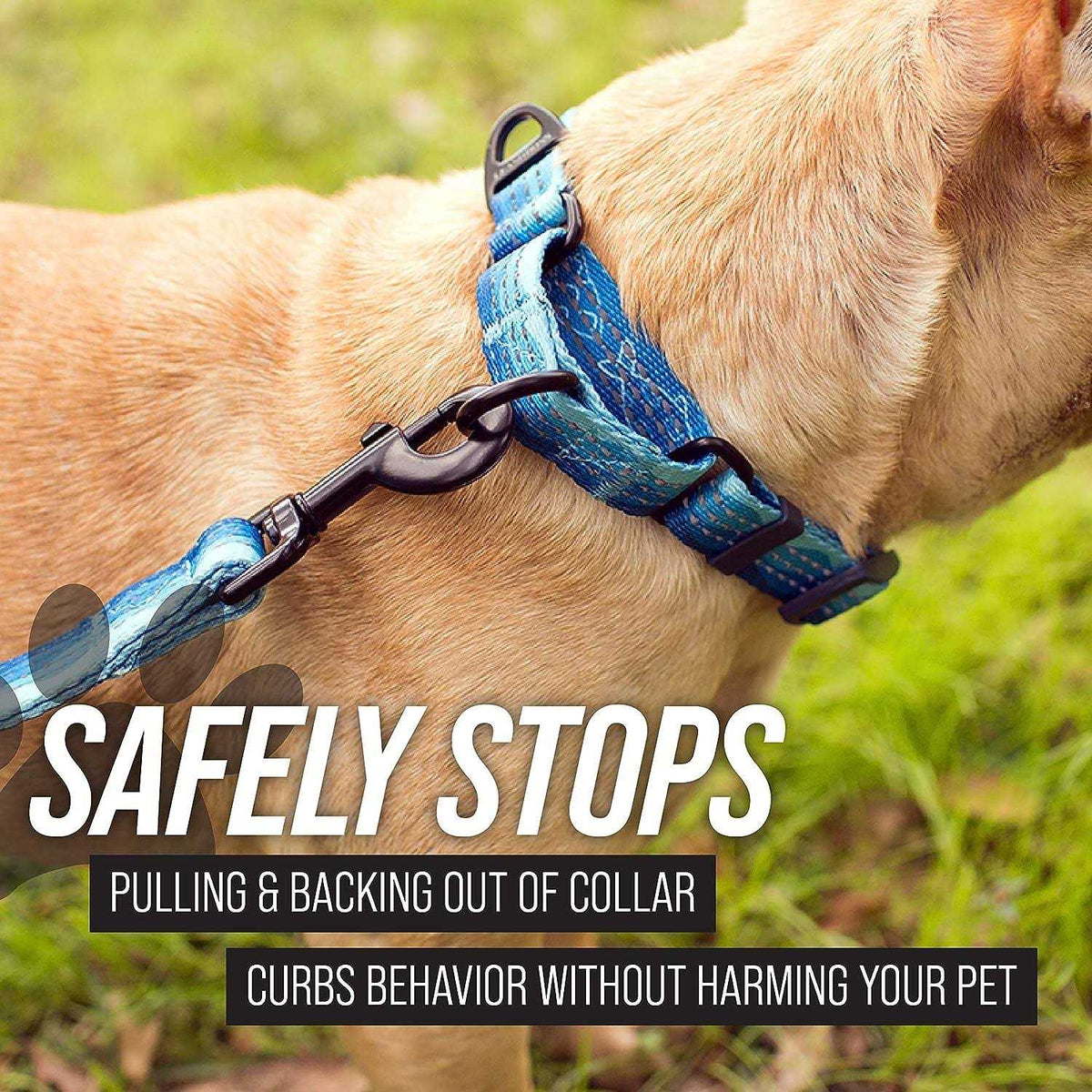 Patterned Fabric Martingale Dog Collar B335007