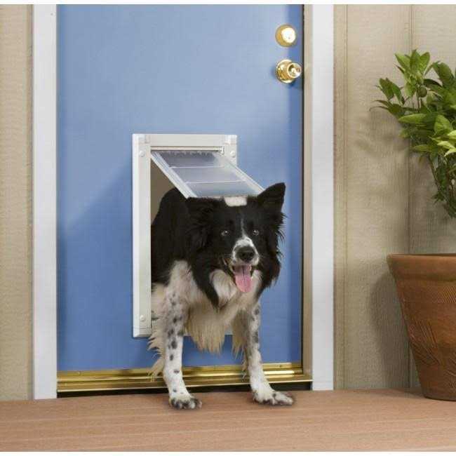 Double Flap Pet Door X2801