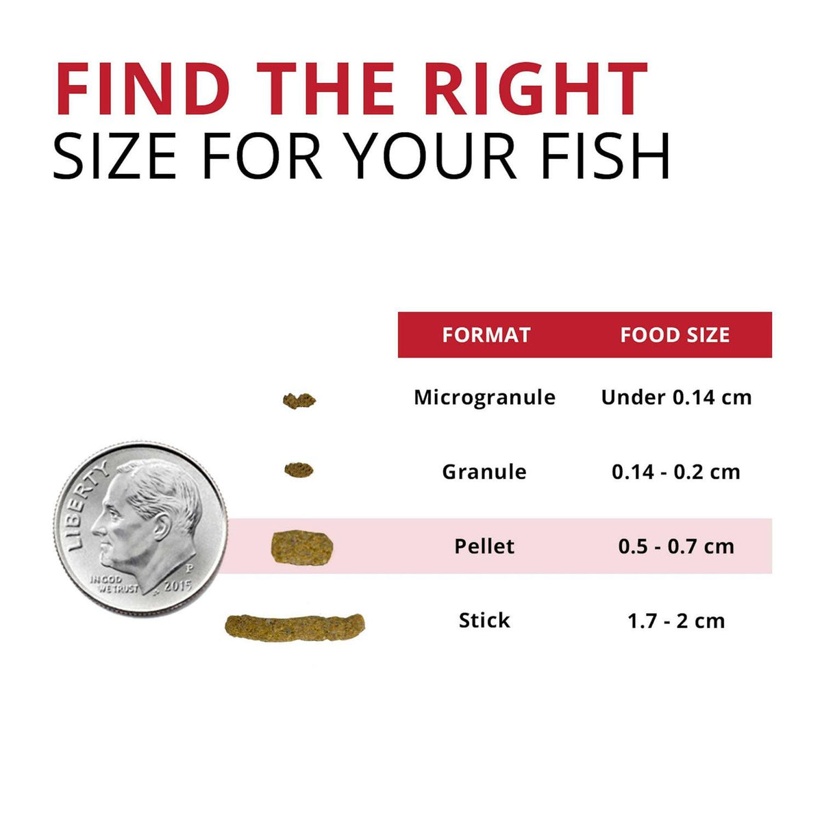 Bug Bites Cichlid I372