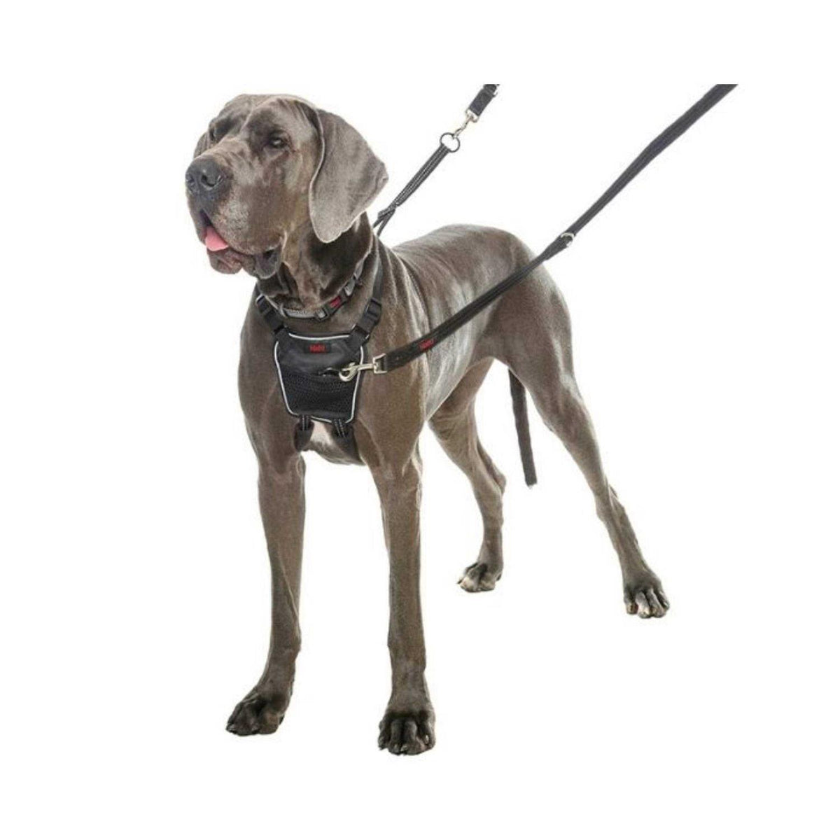 No Pull Harness O748