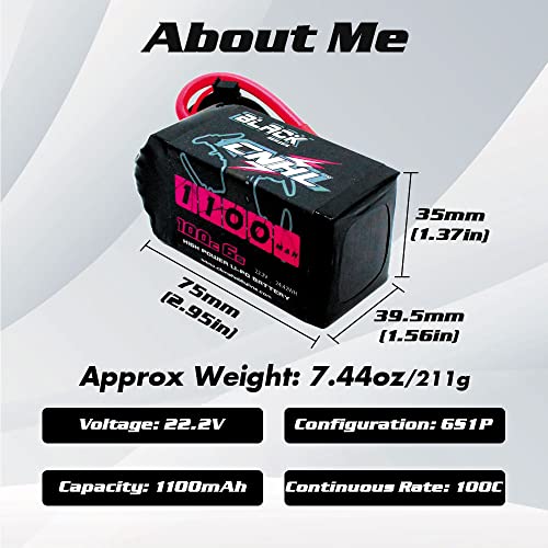 6S 1100mAh 100C 22.2V Lipo Battery with XT60 Plug (2 PCS) B638588