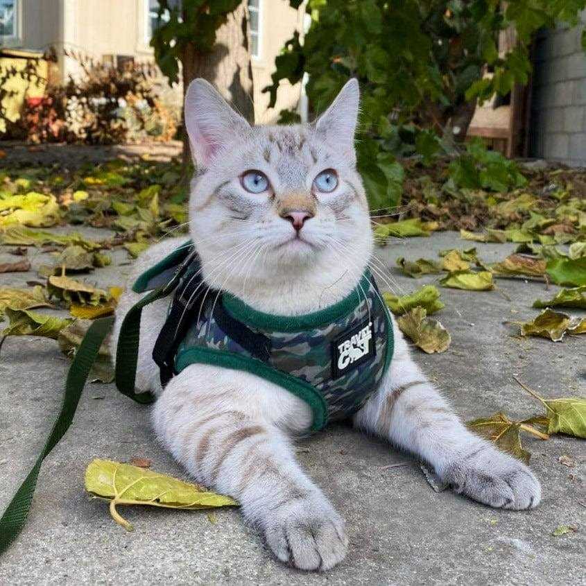 Reflective Cat & Kitten Harness and Leash Z4158