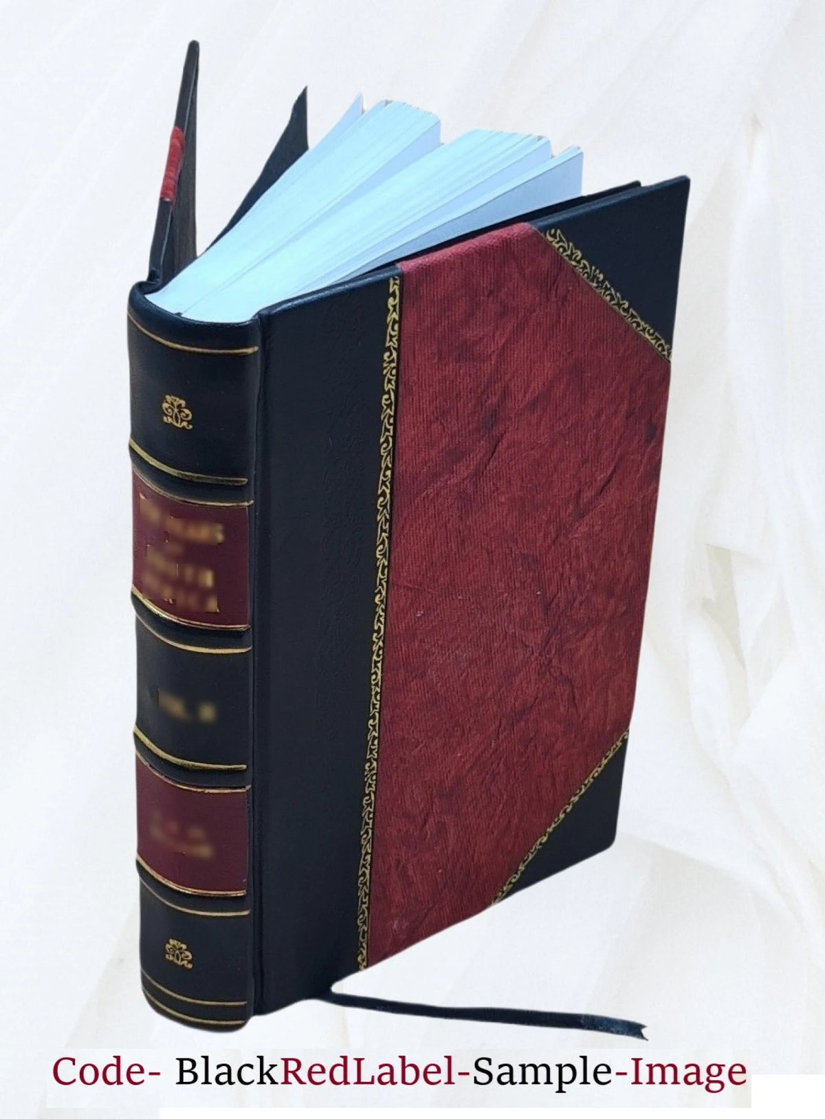 Leather Bound Book J710