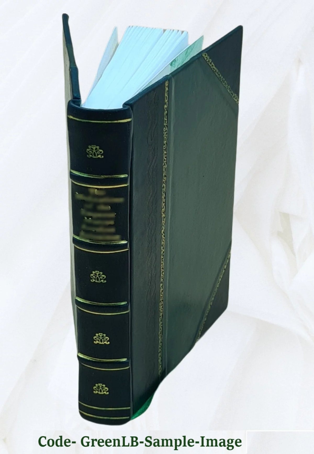 Leather Bound G26640